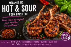 Mélange bio Hot & Sour Barbecue BIO 120ml